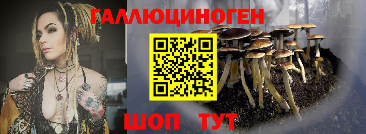 Воскресенск  Псилоцибиновые грибы Magic Shrooms  Вход с VPN  Псилоцибиновые грибы Psilocybe 